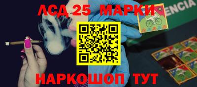 гидра Кингисепп