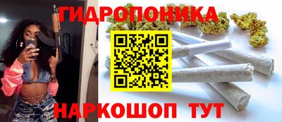 гидра Кингисепп