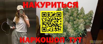 гидра Кингисепп