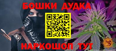 гидра Кингисепп