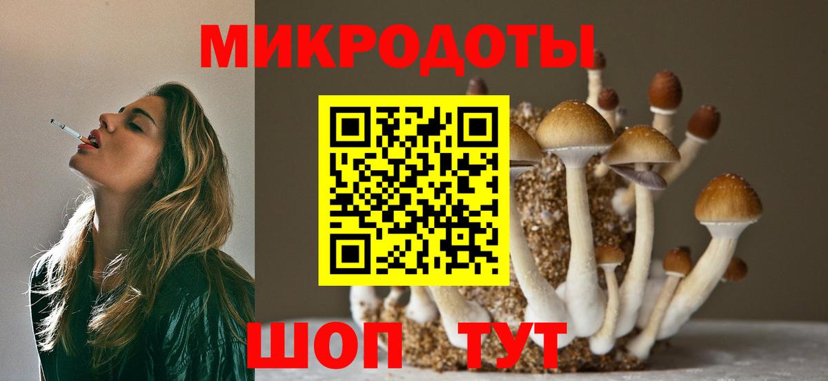 Всеволожск  Псилоцибиновые грибы MAGIC MUSHROOMS  Вход с VPN 