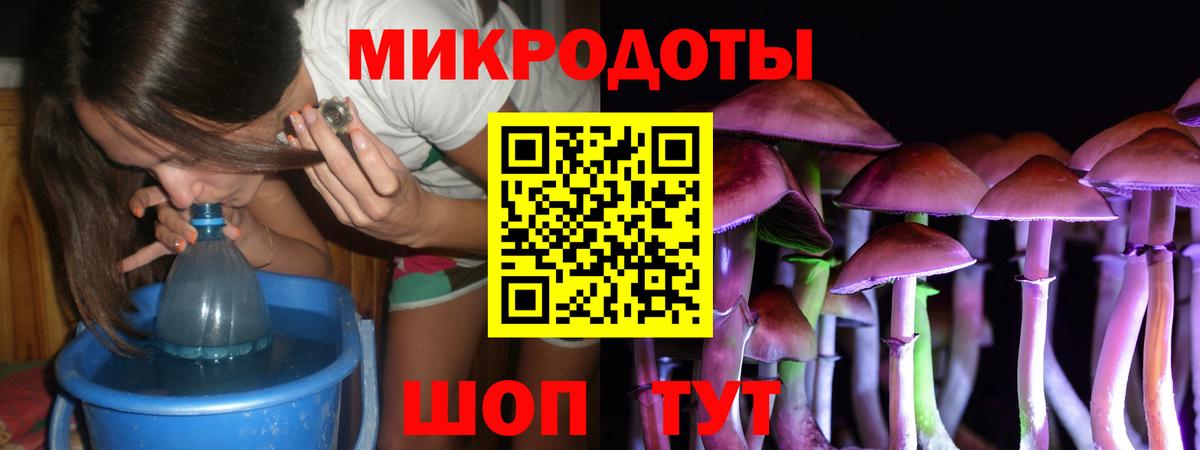 Псилоцибиновые грибы Psilocybe Всеволожск